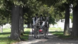 McGuinness Funeral Home Horse Drawn Hearse