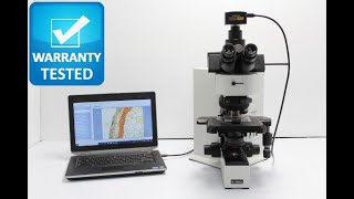 Olympus BX60 Brightfield/Darkfield Microscope [BOSTONIND] - 41863