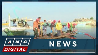 Bureau of Fisheries: Illegal, unreported, unregulated fishing persists in PH | ANC