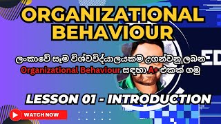 Organizational Behaviour. Lesson 01. Introduction To Organizational Behaviour.