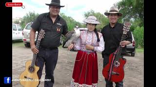 FELIX QUINTEROS (SHUTY) EN CONCIERTO - CUANDO PASE POR TU PUERTA (AUDIO)