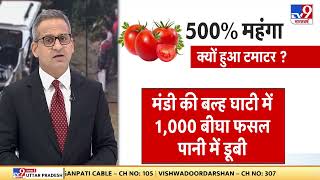 Tomato Price Hike: बारिश ने बढ़ाई टमाटर की महंगाई, 20 रुपये से 100 रुपये किलो हुआ टमाटर