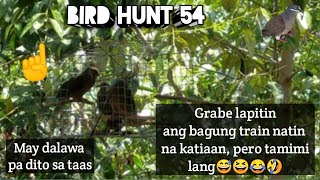 BIRD HUNTING 54, white eared brown dove, Ang bagu nating train nakatiaan.lapitin talaga😅😂