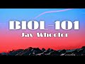 Jay Wheeler - BIOL-101 [letraLyrics]