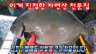 [횟집 수족관] 진정한 자연산 전문집은 수아아빠 입니다. The real nature sashimi restaurant is Sua Dad.