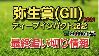 弥生賞ディープ記念2021【最終追い切り】【評価】