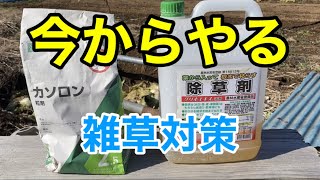 梅雨に入る前にやっておくこと！除草は草が生える前に！