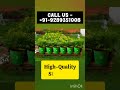 wholesale rate hdpe grow bags 91 9289351008 hdpegrowbag growbag home garden gardening plants