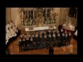 mille cherubini in coro franz schubert .wmv