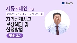 자동차대인 - 자기신체사고 보상책임 및 산정방법