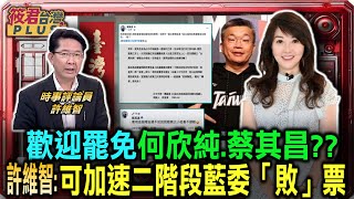 歡迎罷免何欣純蔡其昌?? 許維智:可加速二階段藍委「敗」票/制罷台中市6立委許維智批羅廷瑋廖偉翔 到台北只學會當流氓/許維智:藍委分赴中國見王滬寧 中國是背後金主?｜20250205｜