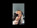 😂 funny and cute cockapoo 😍 dogs and puppies tiktok compilation