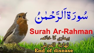 Surah Rahman| سورة الرحمن |Surrah Rehman with Urdu and English translation|surrah Rahman ki talawat