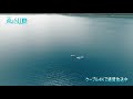 【tokai　4k】【4k画質】田中律子の旅するsup season.2　本栖湖②