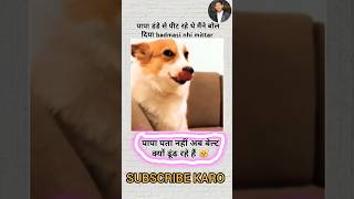 रोला है तुम्हारे भाई का 🤟#memes #dog