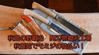 秋田の野鍛冶　関刃物鍛冶工場作　７寸の秋田鉈でモミジの枝払い！　2024年2月28日