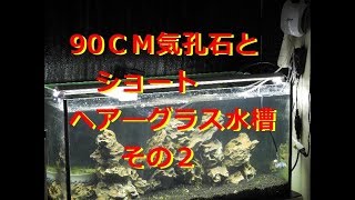 90CM 気孔石とへーグラスショート　水槽立ち上げその２　（アクアリウム　水槽）