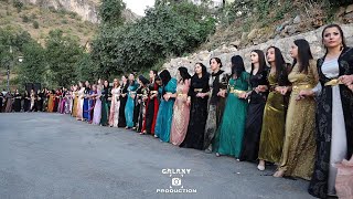 | MELDA \u0026 AYKUT | - HAKKARİ ÇUKURCA KURDİSH WEDDİNG DANCE