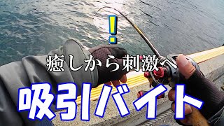 2024宮城釣り　ライトロック　癒しから刺激へ　#東北　#宮城　#釣り