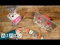 A Look at the littleBits Deluxe Kit-Gadget Lab-WIRED