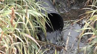 Water Quality Issues #876 (Air Date 1/18/15)