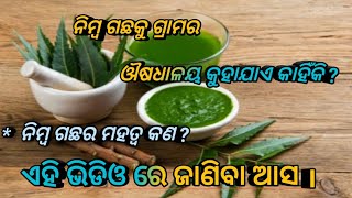 ନିମ୍ବ ଗଛର ମହତ୍ବ କଣ Neem tree  How to use neem tree Medetion Of A Neem tree #education #quotes