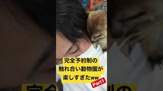 【完全予約制】ふれあい動物園が楽しすぎた