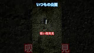 いつもの公園🛝シリーズ2024年11月29日#ゴミ拾い #プロギング #市川市  吸い殻発見