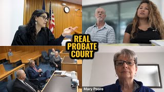 "Real Probate Court Hearing: Estate Cases, Final Accountings & Guardianships Explained"