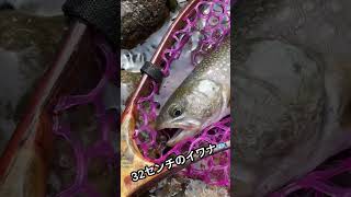 滝壺の石の脇から大岩魚が現れた‼️ #shorts#渓流ルアー#釣り#fishing