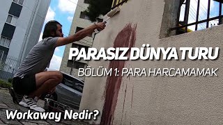 PARASIZ DÜNYA TURU // BÖLÜM 1: PARA HARCAMAMAK //Workaway nedir? //BREZİLYA #58