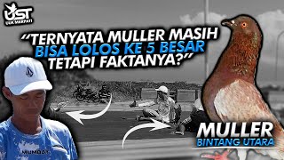 MULLER BINTANG UTARA SEBENARNYA BELUM KALAH TETAPI FAKTANYA?? | MERPATI MEWAH