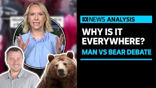 What is 'Man vs Bear' and why is it relevant? | ABC News