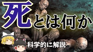 【ゆっくり解説】なぜ寿命による死が存在するのか－私たちが死ななければならない理由－【死の謎】