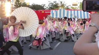 2017四天王寺大学YOSAKOIソーラン部仏喜踊『燈花』紀州よさこい・けやき大通り競演場