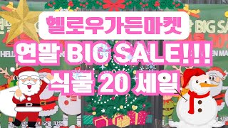 헬로우가든마켓🎄연말빅세일 식물20%#애기구골목서(미니은목서)#애기향동백 엘리나#아이비7종#원종히메몬스테라#고사리7종큰잎아디안텀#카랑코에 코랄벨#무늬칼마삭#필리포미스레드#식충식물🎄