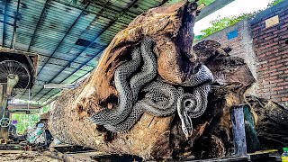 Incredible Sawmill Machines Cutting Massive Trembesi Logs! ⚙️