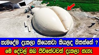 ඔබ ජීවිතේටවත් දැකලා නැති දේවල් 11ක්.