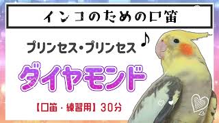 【30分 ダイヤモンド💎】プリンセス・プリンセス✨️お歌の練習用にどうぞ🐤💕概要欄みてね☺️