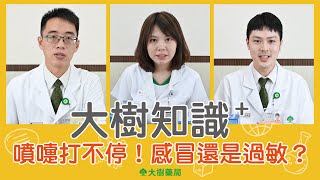 大樹藥局【大樹知識+#11】噴嚏打不停，是感冒還是過敏？！ | 大樹藥局團隊 | 顧問 大樹醫藥 董事長 鄭明龍