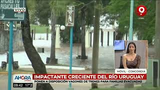 Evacúan a familias en Concordia