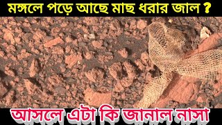 মঙ্গলে পড়ে আছে মাছ ধরার জাল, আসলে কি জানাল নাসা, Fishing Net On Mars, Nasa says What Is This Net