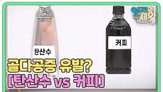 골다공증 유발하는 잘못된 식습관? [탄산수 vs 커피] 골다공증 유발하는 것은? MBN 221129 방송