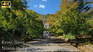 【 Nison-in Temple 】🇯🇵Temple scenery in Sagano Arashiyama with the sound of shishi-odoshi.