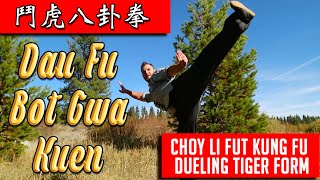 Choy Li Fut Kung Fu - Dau Fu Bot Gwa Kuen - Duelling Tiger 8 Diagram Fist - 鬥虎八卦拳