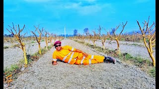 Guava Farming: Land preparation for intercropping. #uhdp #hdp #guava #orchard #harikoorchards