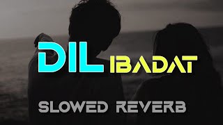 Dil Ibaadat - Lofi [Slowed + Reverb] Tum Mile|Emraan Hashmi,Soha Ali Khan