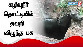 முதுகுளத்தூர் கழிவுநீர் தொட்டியில் தவறி விழுந்த நிறைமாத பசு மாடு