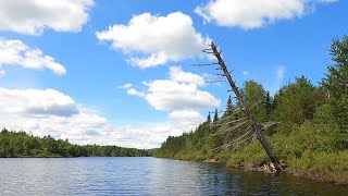 Paddling - Juno Lake from Campsite 958 to the Vern Lake portage in the BWCA