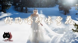 李發發 - 你的婚紗像雪花『回想我們一起走過的年華，最終卻沒給你一個家。』【動態歌詞 | Pinyin Lyrics】【PENGUIN MUSIC】